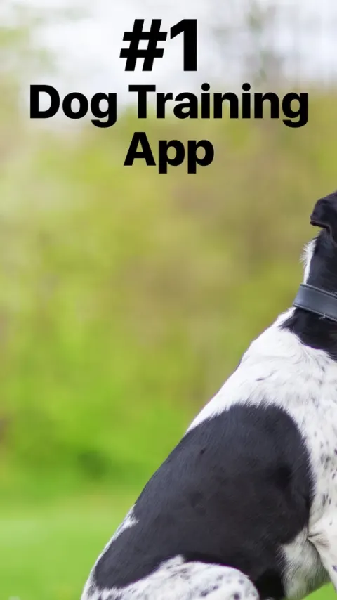 EveryDoggy App Store screenshot 1