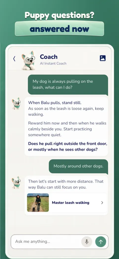 Hundeo App Store screenshot 4
