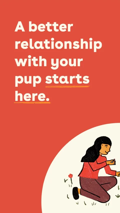 Pupford App Store screenshot 1
