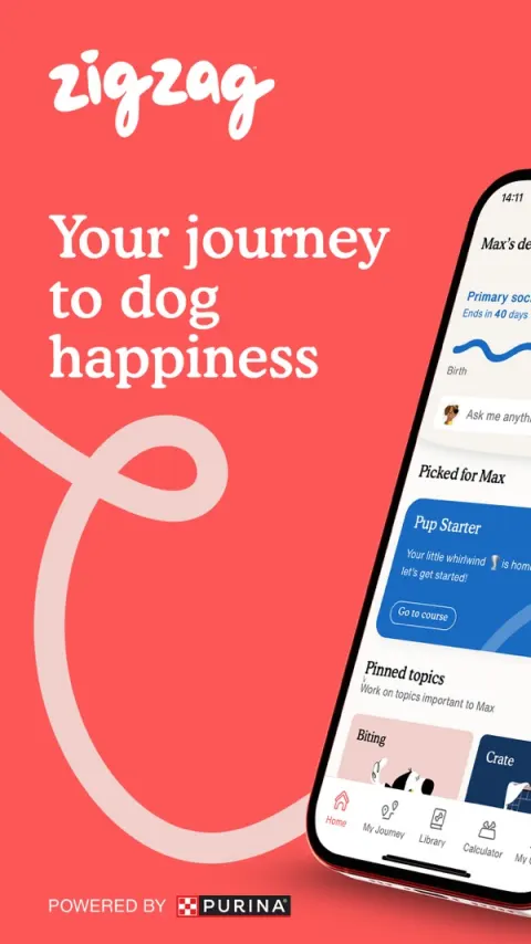 Zigzag App Store screenshot 1
